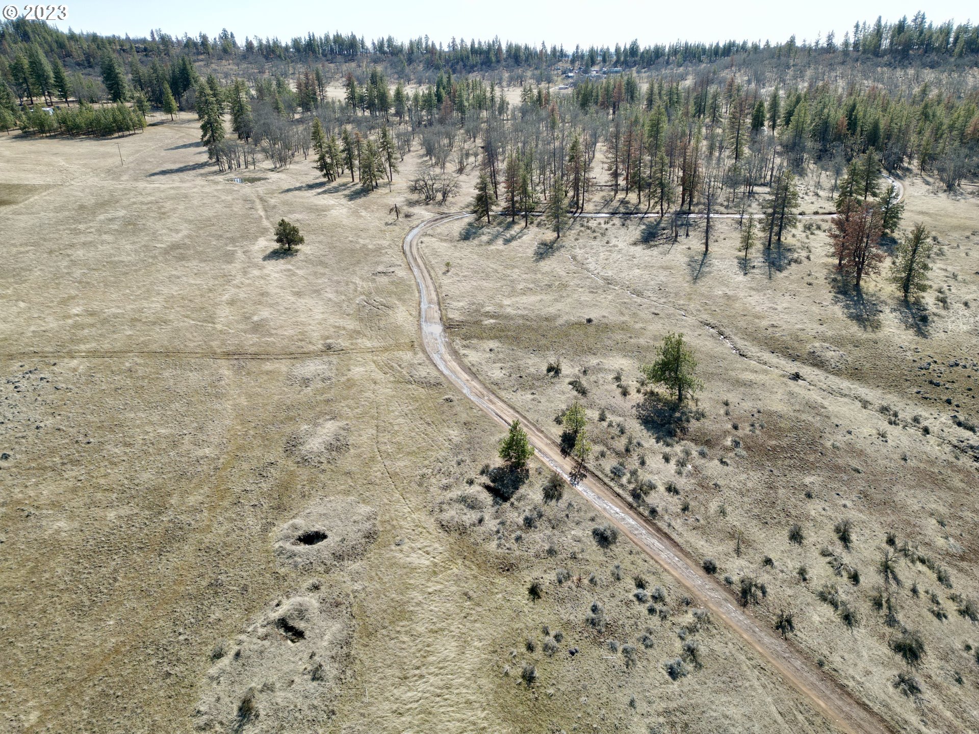 601 Chambers Road Goldendale, WA 98620 - Photo 8 of 28 Gallery Image 8