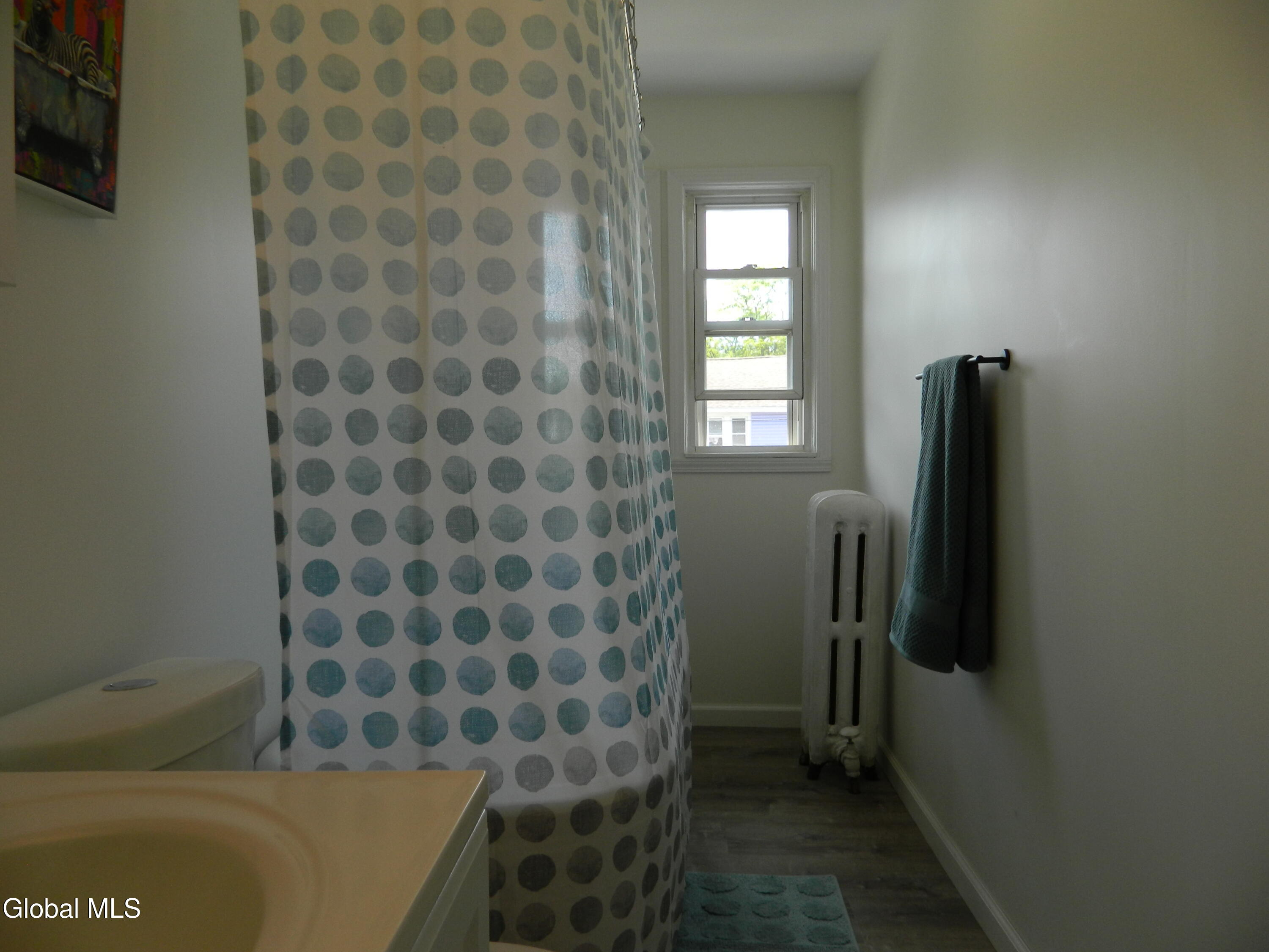 1355 Dewitt Street Schenectady, NY 12303 - Photo 69 of 88 LIFEPROOF WATERPROOF VINYL PLANK