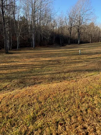 a view of a yard with large trees