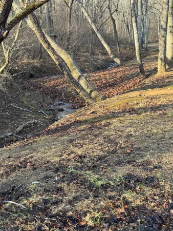 a view of a backyard of the house