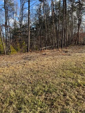 a view of wooden fence