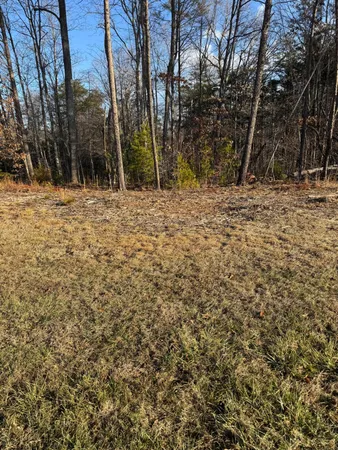 a view of outdoor space with trees