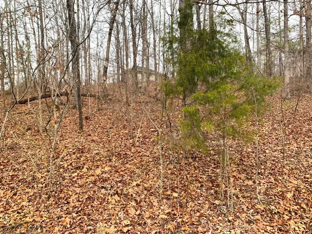 a bathroom with a toilet sink and shower
