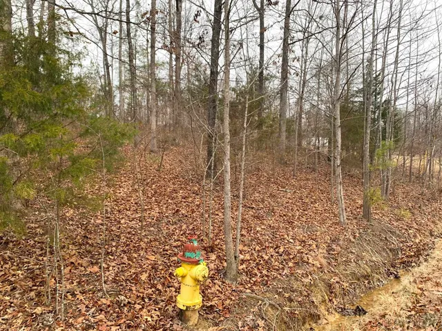 a view of a yard next to a building