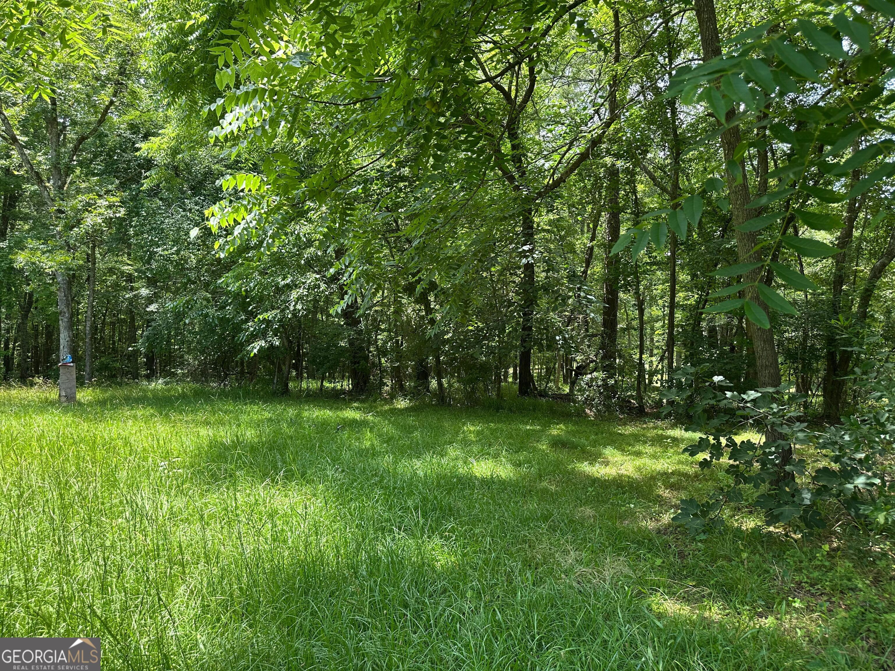 5657 Springfield Road Sparta, GA 31087 - Photo 20 of 45