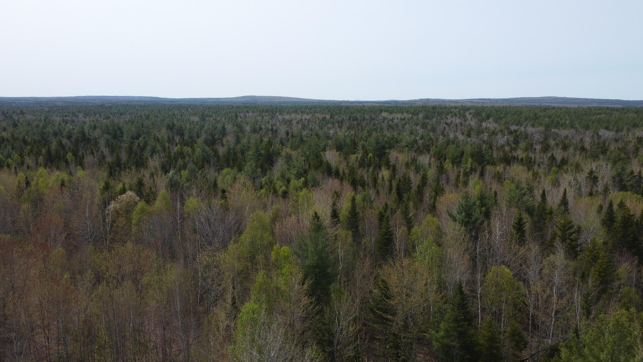 Lot 5 Trickle Brook Road Cherryfield, ME 04622 - Photo 6 of 12 DJI_0063