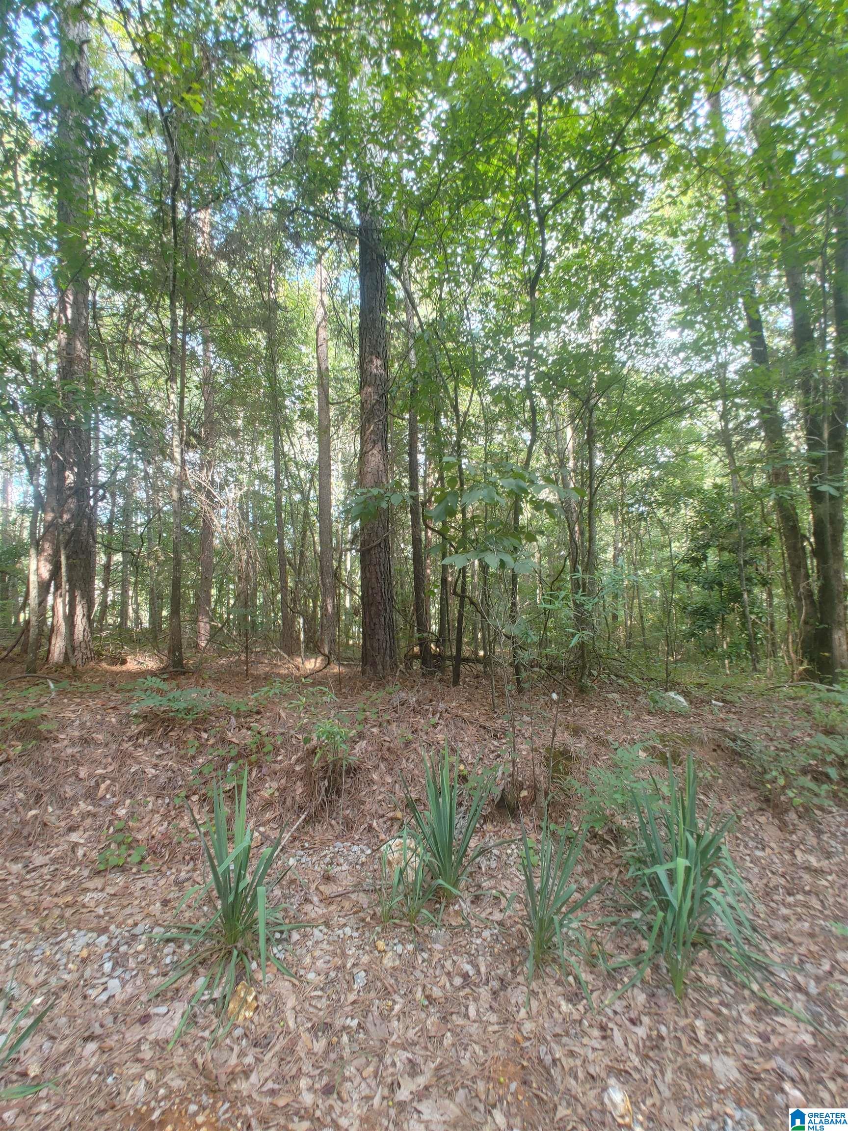 791-5 Dry Valley Road Lincoln, AL 35096 - Photo 5 of 6 Gallery Image 5