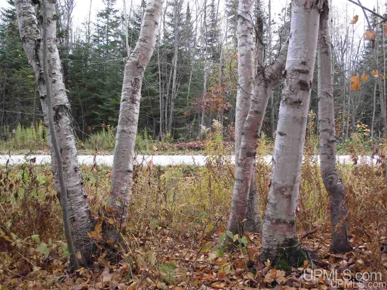No # East No Road Grand Marais, MI 49839 - Photo 2 of 12