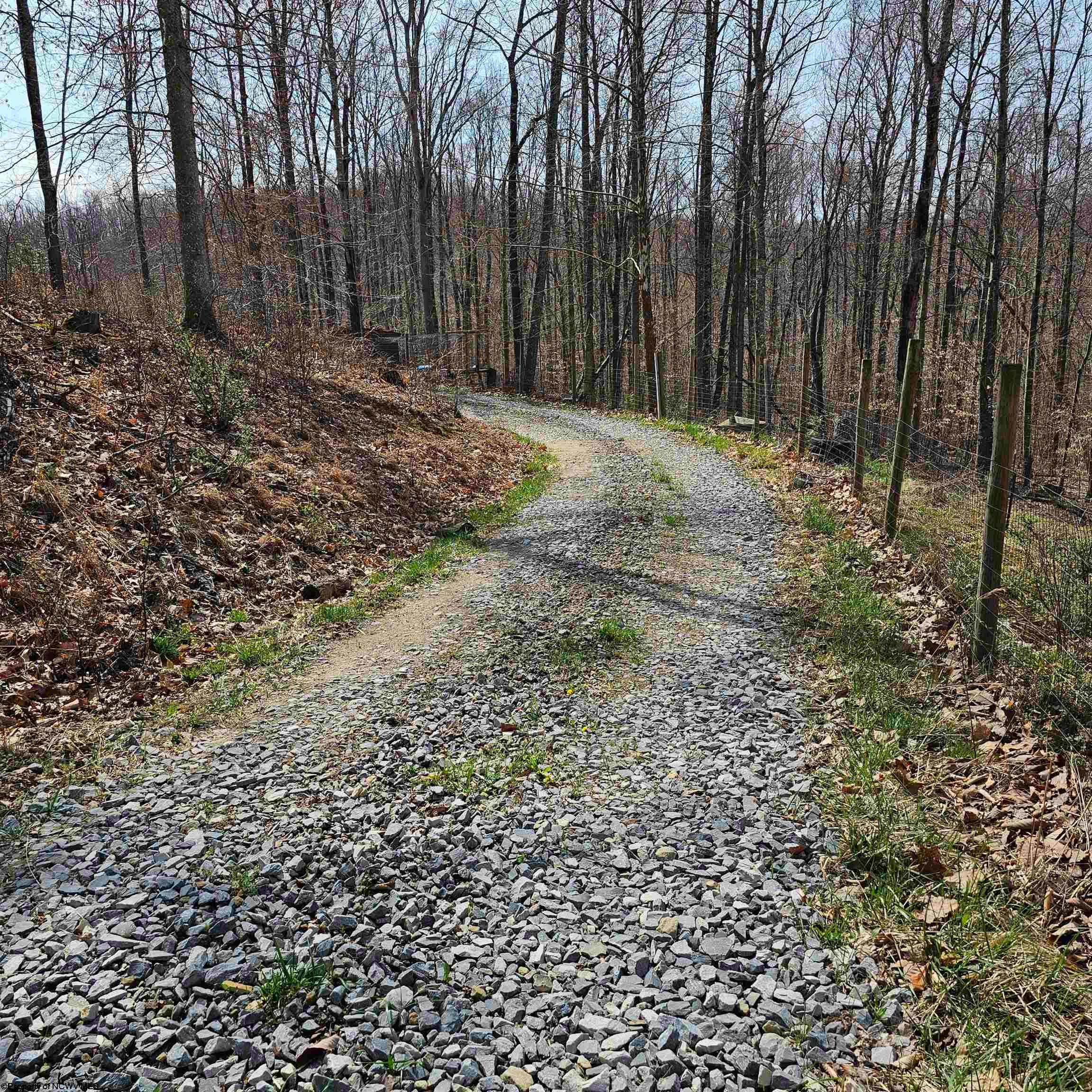 6531 Lake Lane Road Heaters, WV 26627 - Photo 41 of 41 Gallery Image 41