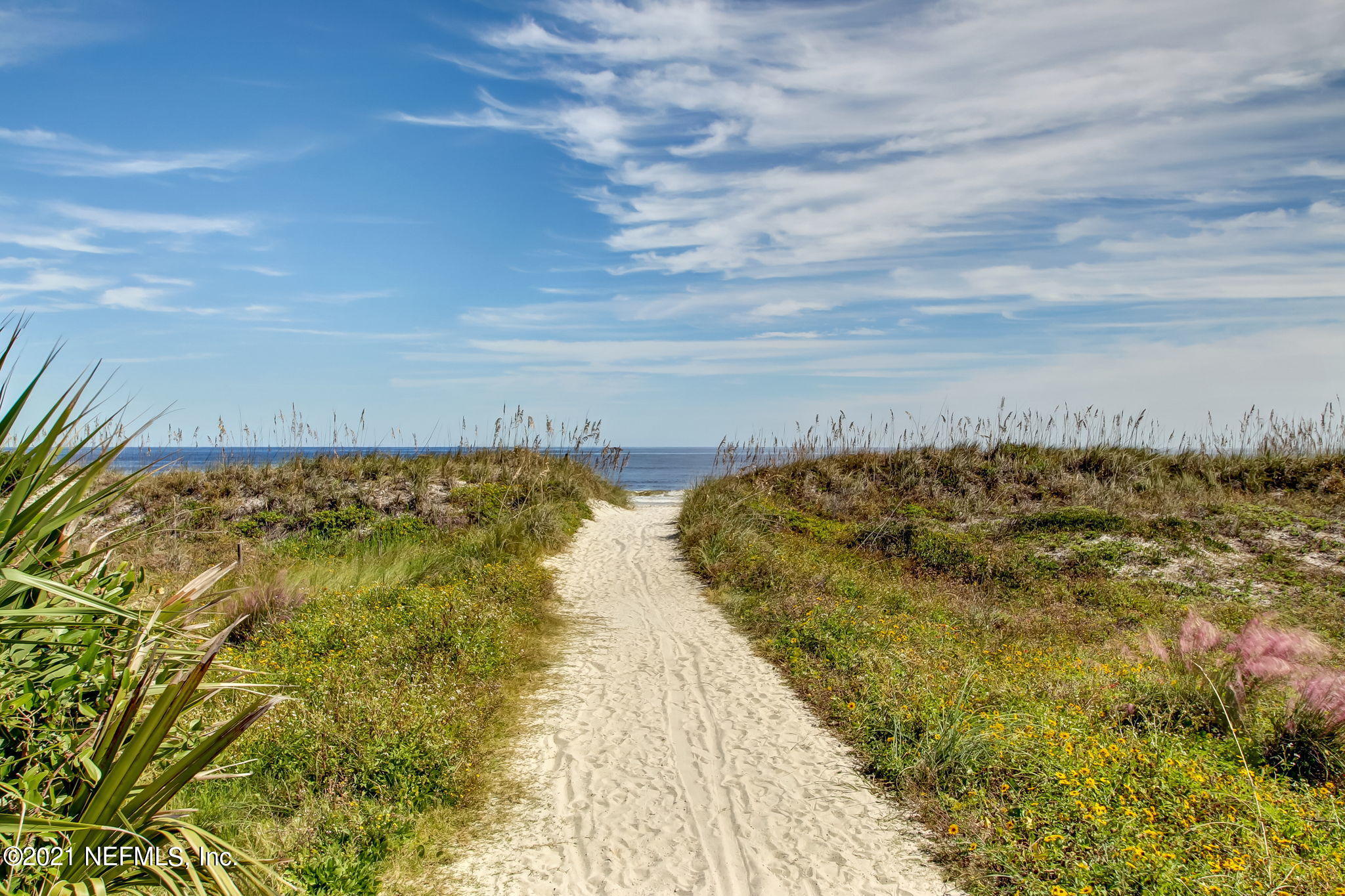 418 Skate Road Atlantic Beach, FL 32233 - Photo 32 of 36 web_2009 Seminole Road Hi-Res-40