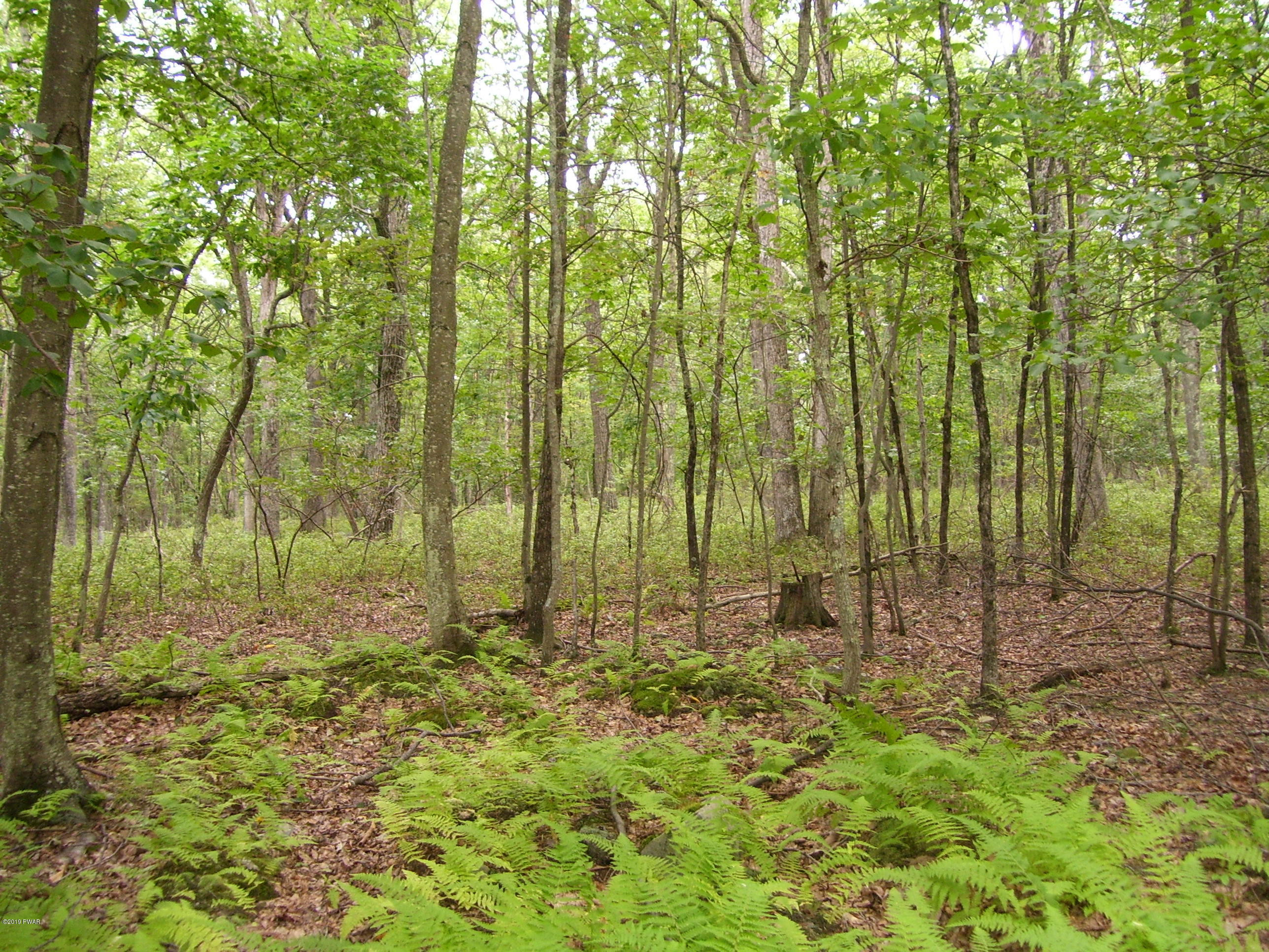 Lot 149 Mountain Top Road Lackawaxen, PA 18435 - Photo 2 of 8