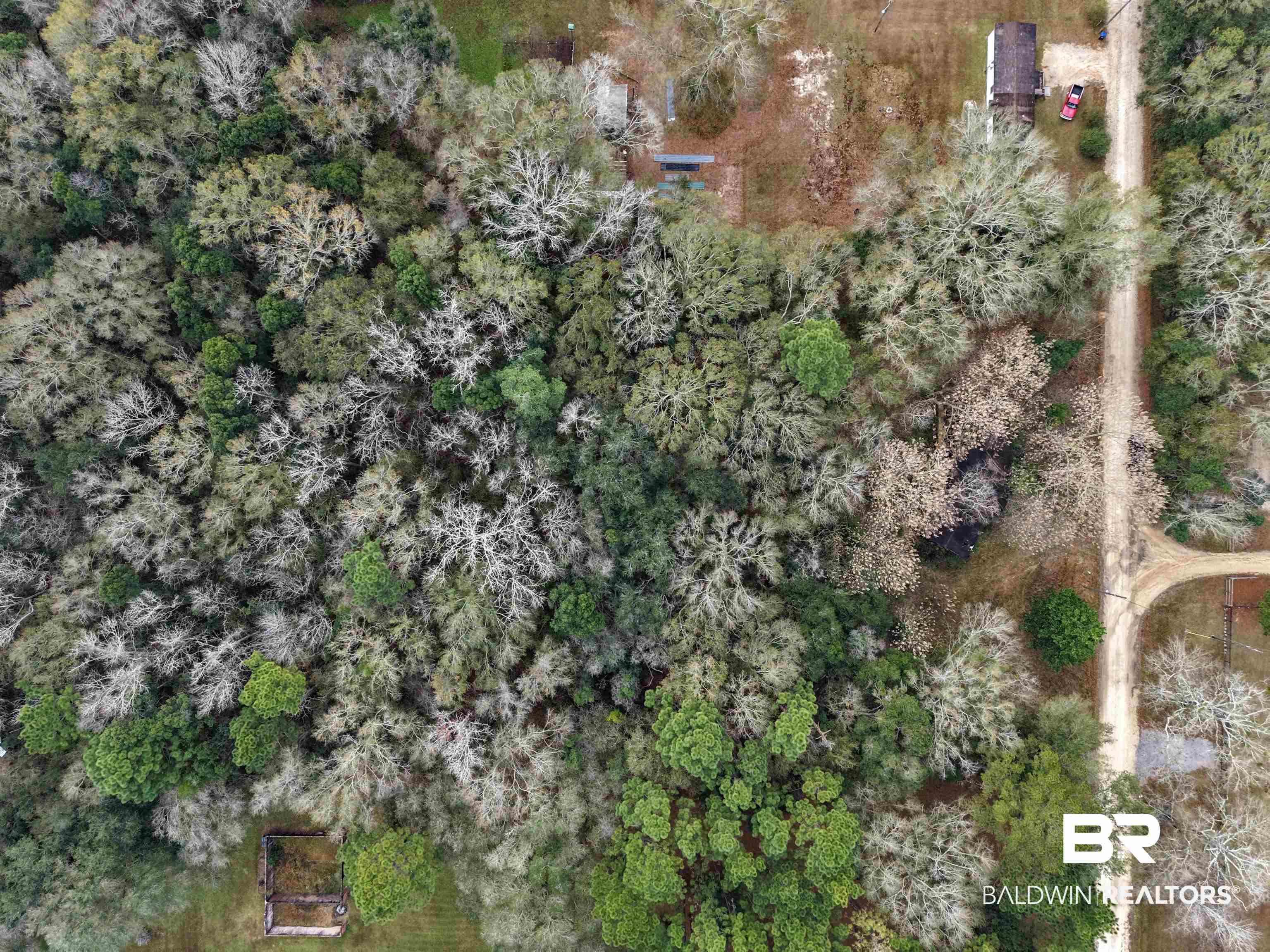 10775 Pine Road Grand Bay, AL 36541 - Photo 11 of 12