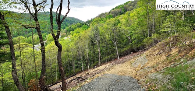 a view of a street sign under a large tree
