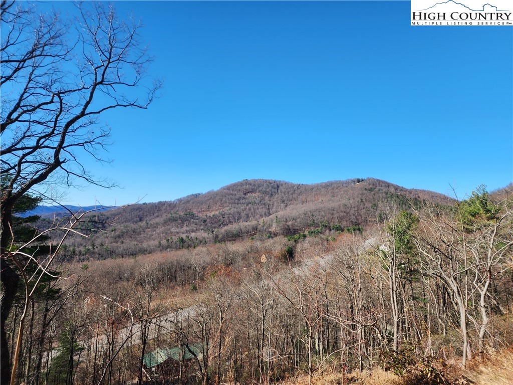 Ivy Ridge Road Deep Gap, NC 28618 - Photo 2 of 11 a view of a dry yard with mountains in the background