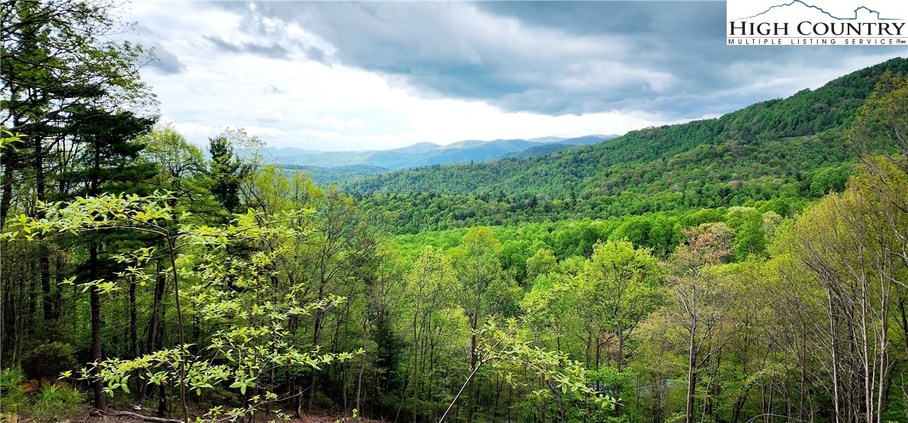 Ivy Ridge Road Deep Gap, NC 28618 - Photo 5 of 11 a view of a lush green forest with lots of trees