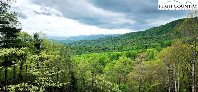 a view of a city with lush green forest