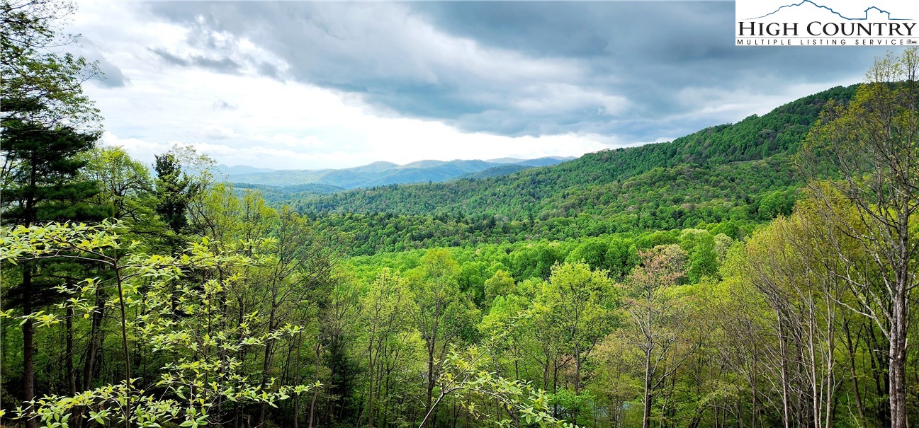 Ivy Ridge Road Deep Gap, NC 28618 - Photo 7 of 11 a view of a city with lush green forest