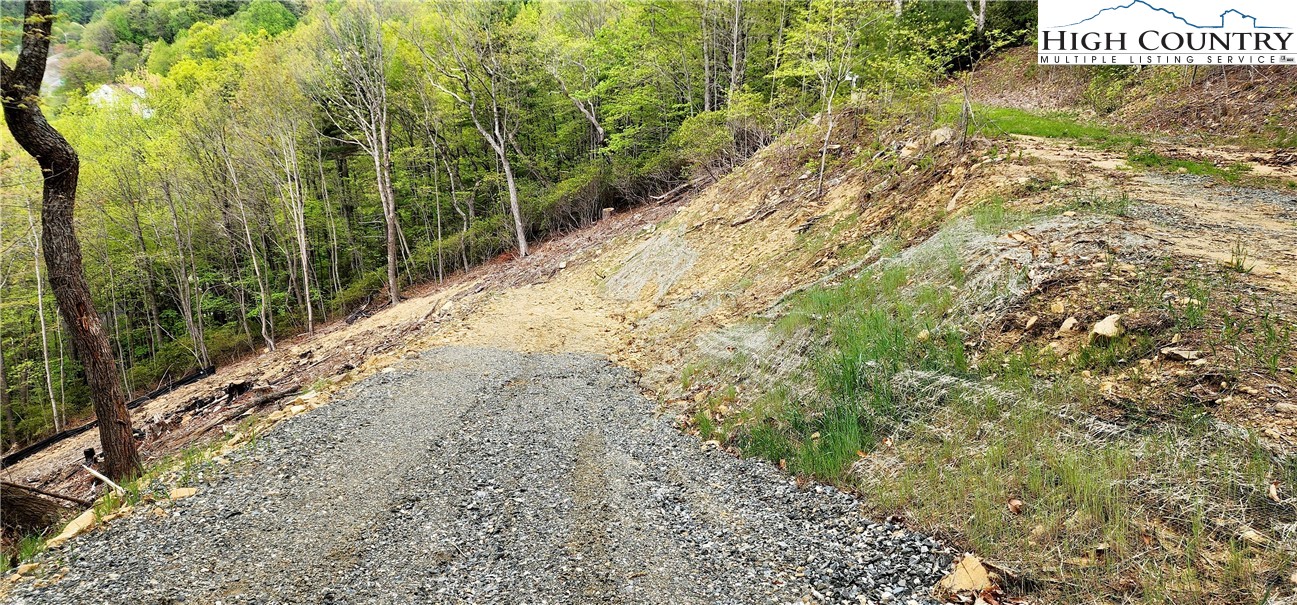 Ivy Ridge Road Deep Gap, NC 28618 - Photo 9 of 11 a view of a field with trees in the background
