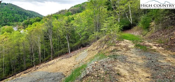 a view of a pathway of a park