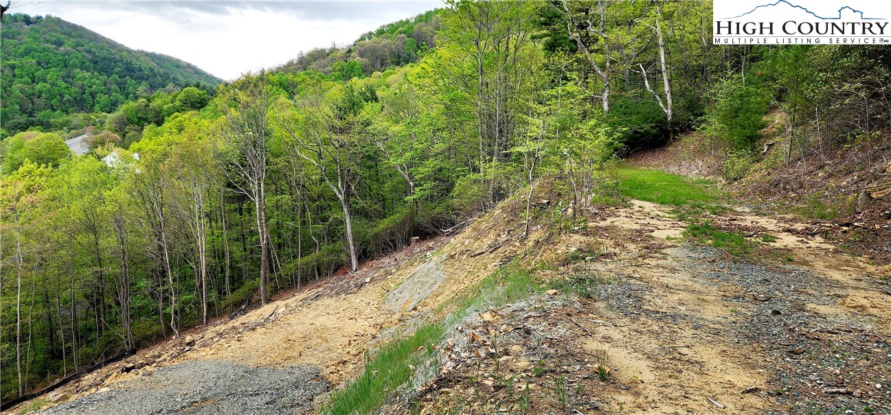 Ivy Ridge Road Deep Gap, NC 28618 - Photo 10 of 11 a view of a pathway of a park
