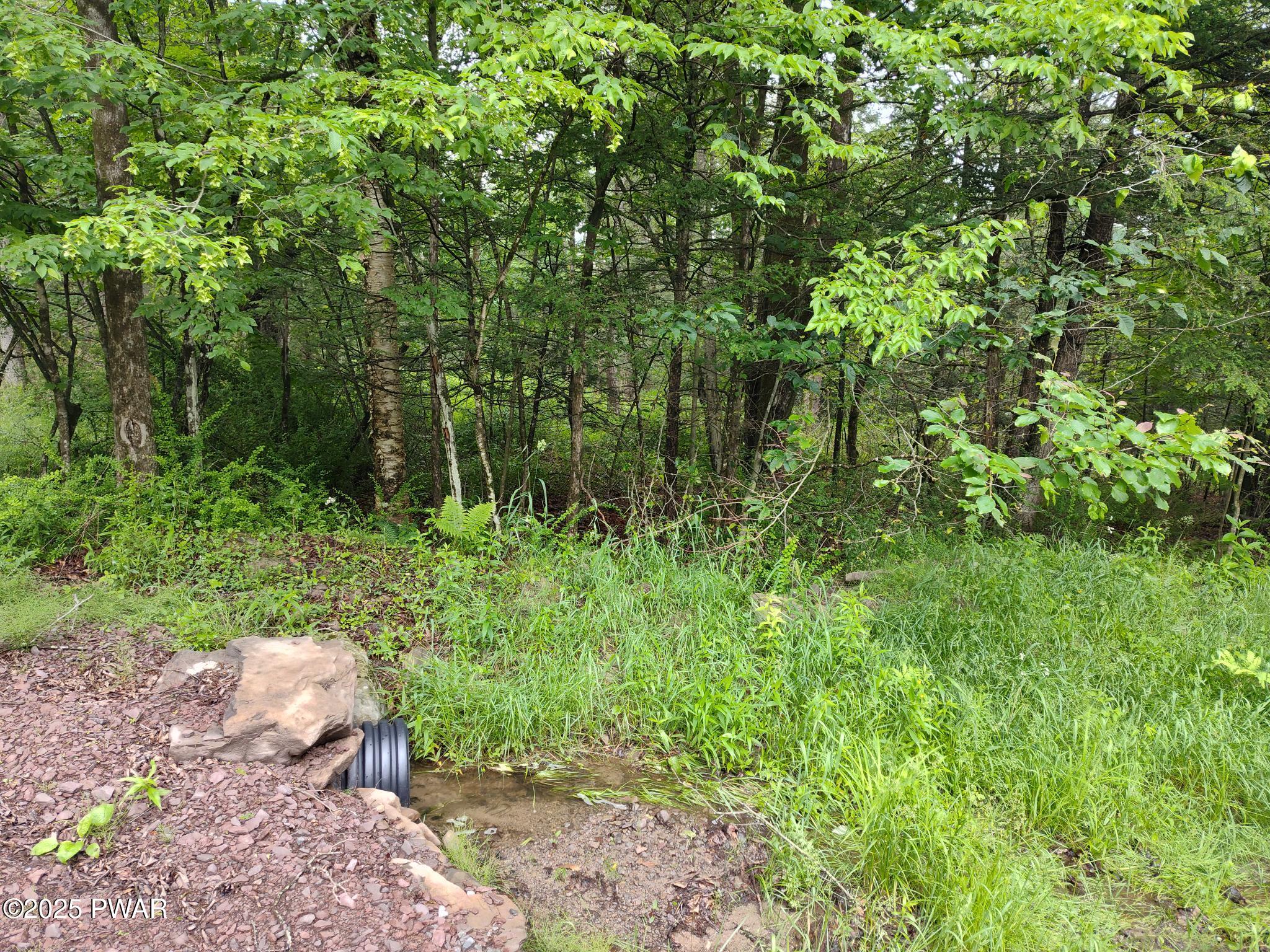 Lot 109 Aka) Gibralter Road Newfoundland, PA 18445 - Photo 9 of 19