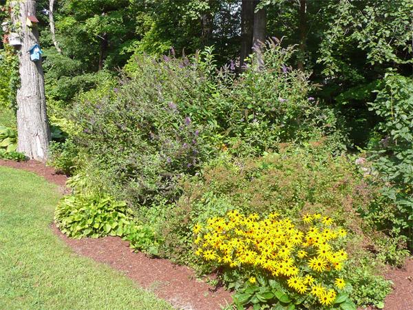 47 Smith Road Rockland, MA 02370 - Photo 30 of 30