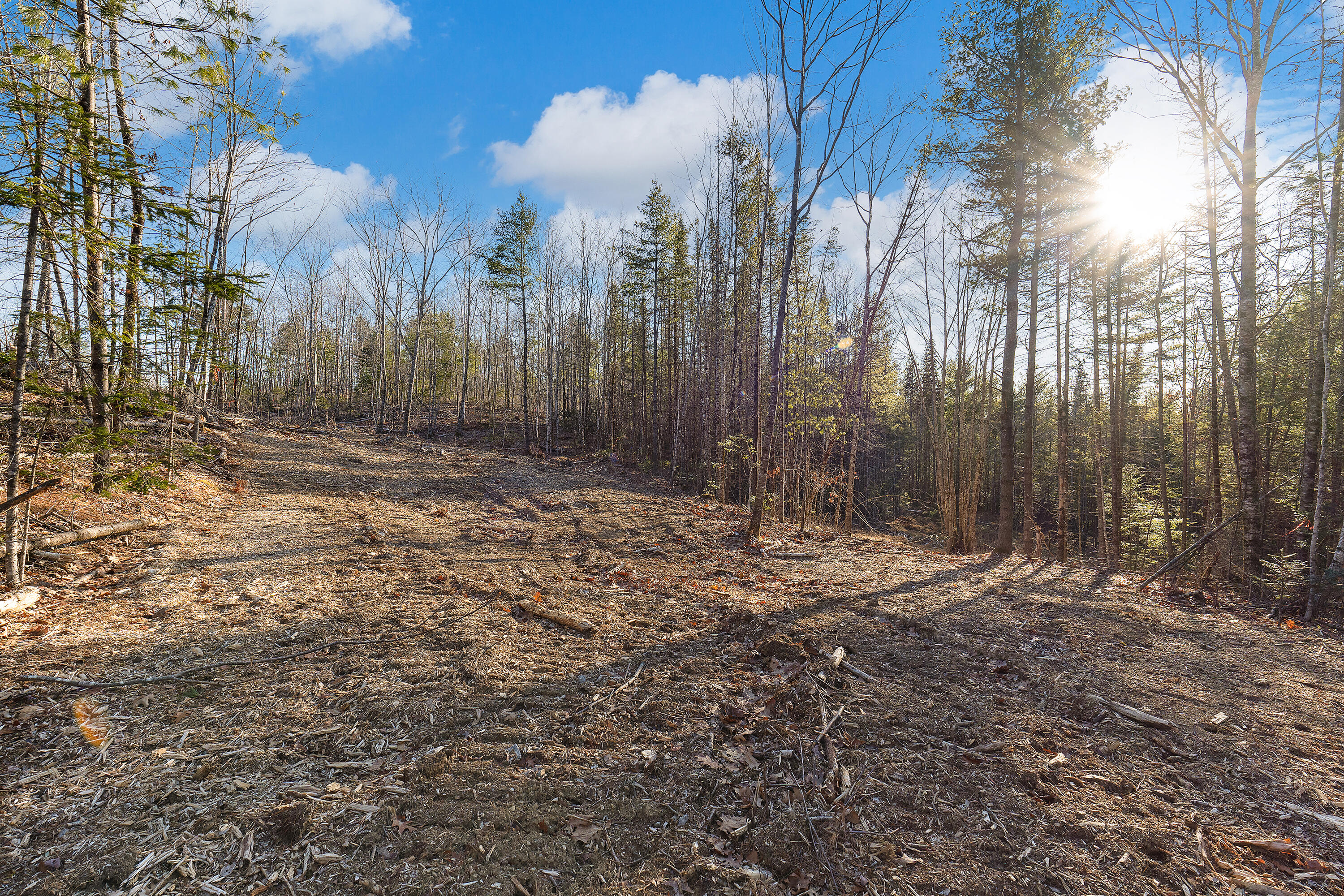 Lot 4 Pine Hill Road Monmouth, ME 04259 - Photo 4 of 15 0145 - Lot 04