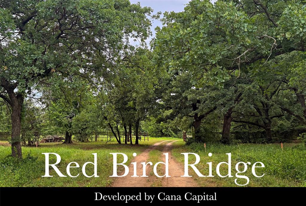 1121 Redbird Grove Road Argyle, TX 76226 - Photo 5 of 11