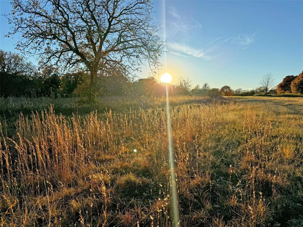 1121 Redbird Grove Road Argyle, TX 76226 - Photo 7 of 11