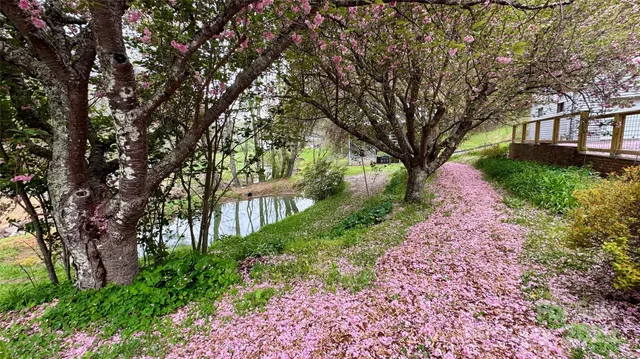 $845,000 | 6334 Jacks Creek Road, Burnsville, NC 28714