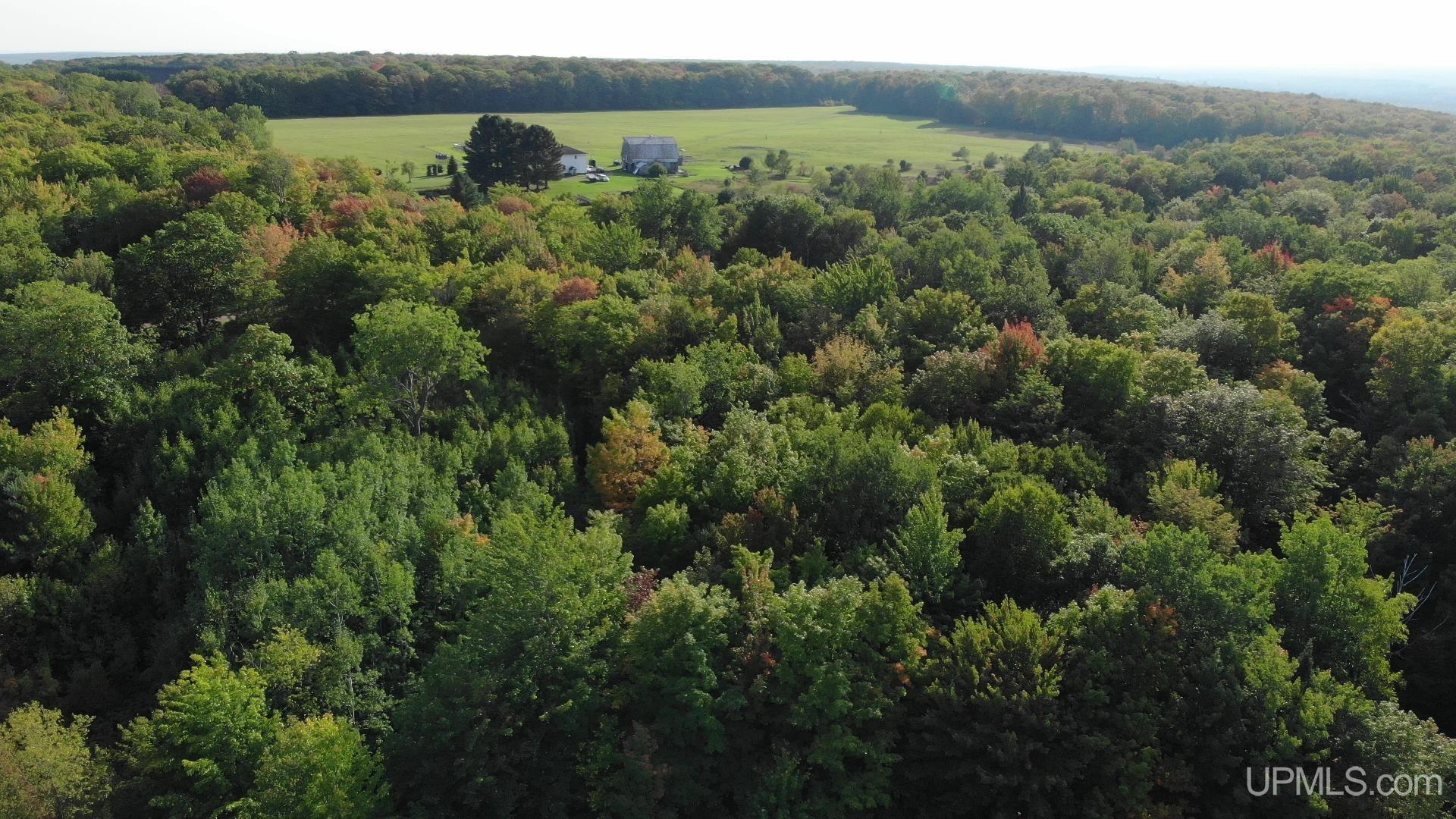 Tbda Worham Road Chassell, MI 49916 - Photo 5 of 28