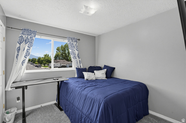 352 West 850 N Street Springville, UT 84663 - Photo 24 of 34 Bedroom 2