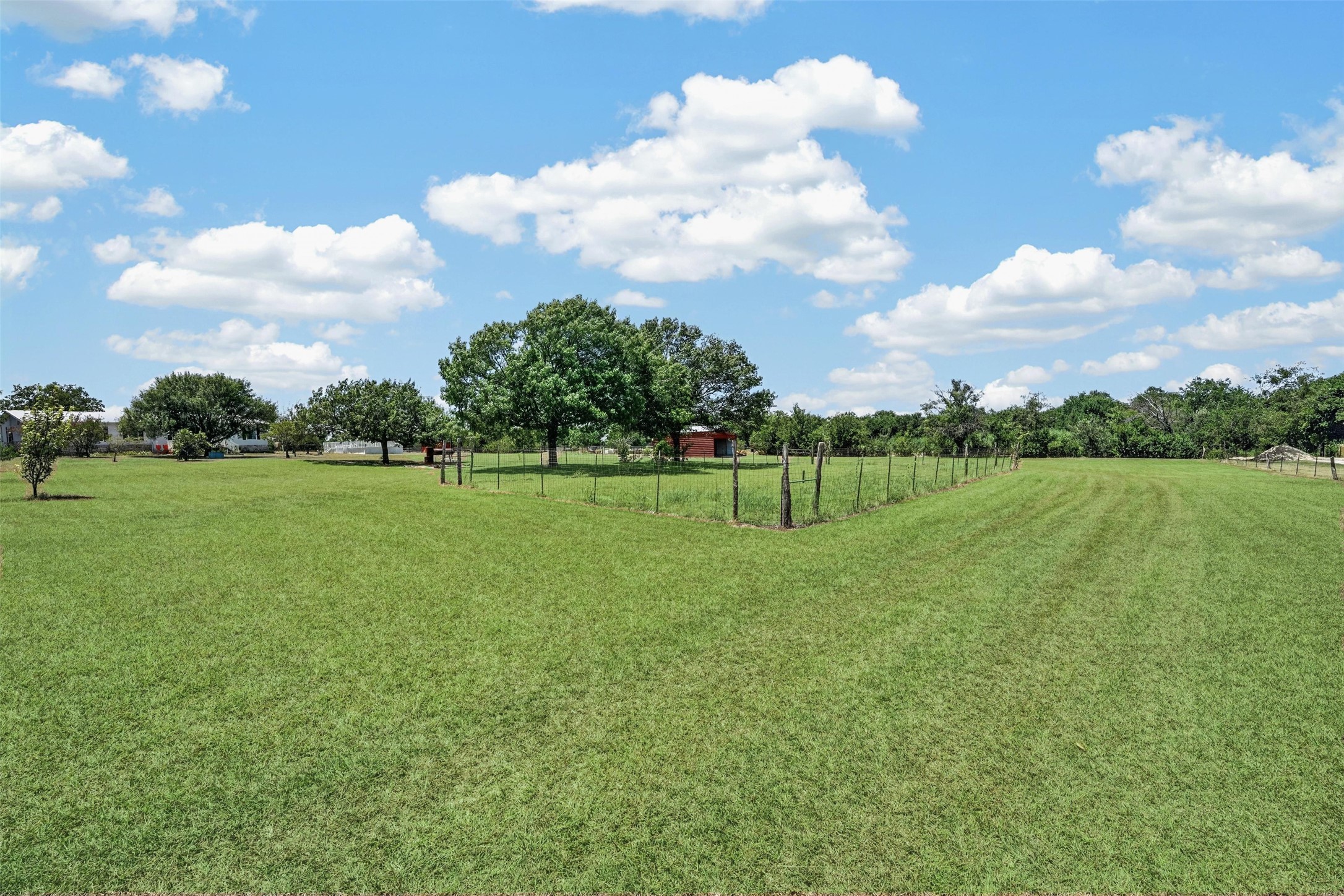 317 Rae Lane Jarrell, TX 76537 - Photo 6 of 40 A verdant, open lot with mature trees and partial fencing awaits your vision.