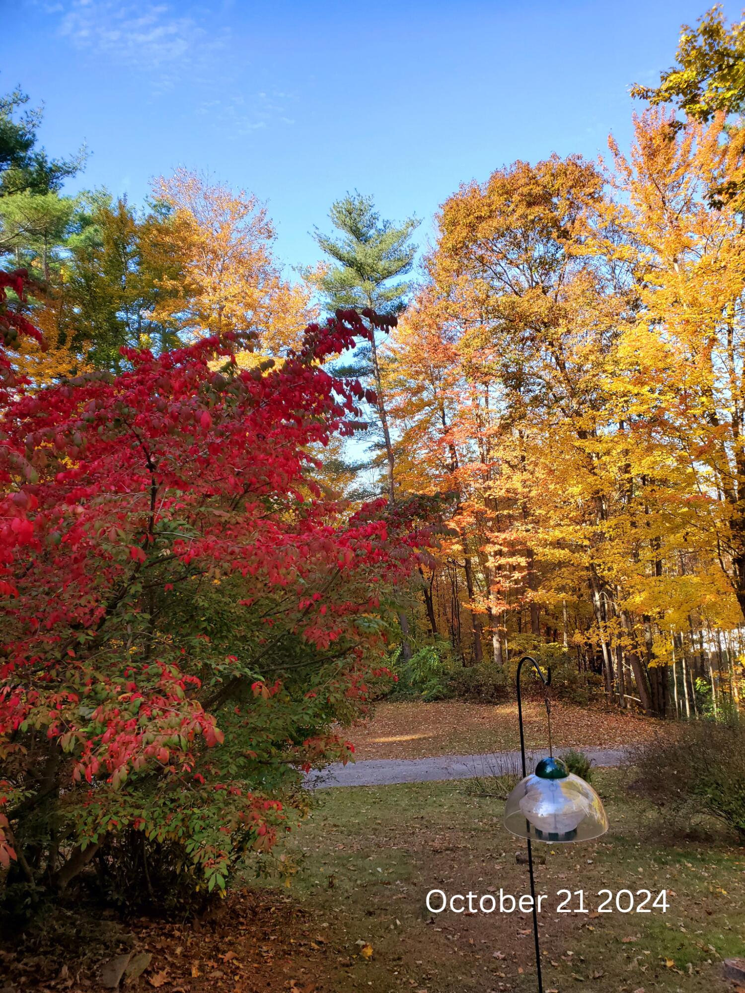 648 Beech Hill Road Auburn, ME 04210 - Photo 39 of 41 648 Beech Hill October 21 2024
