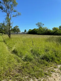 a view of a lake from a yard