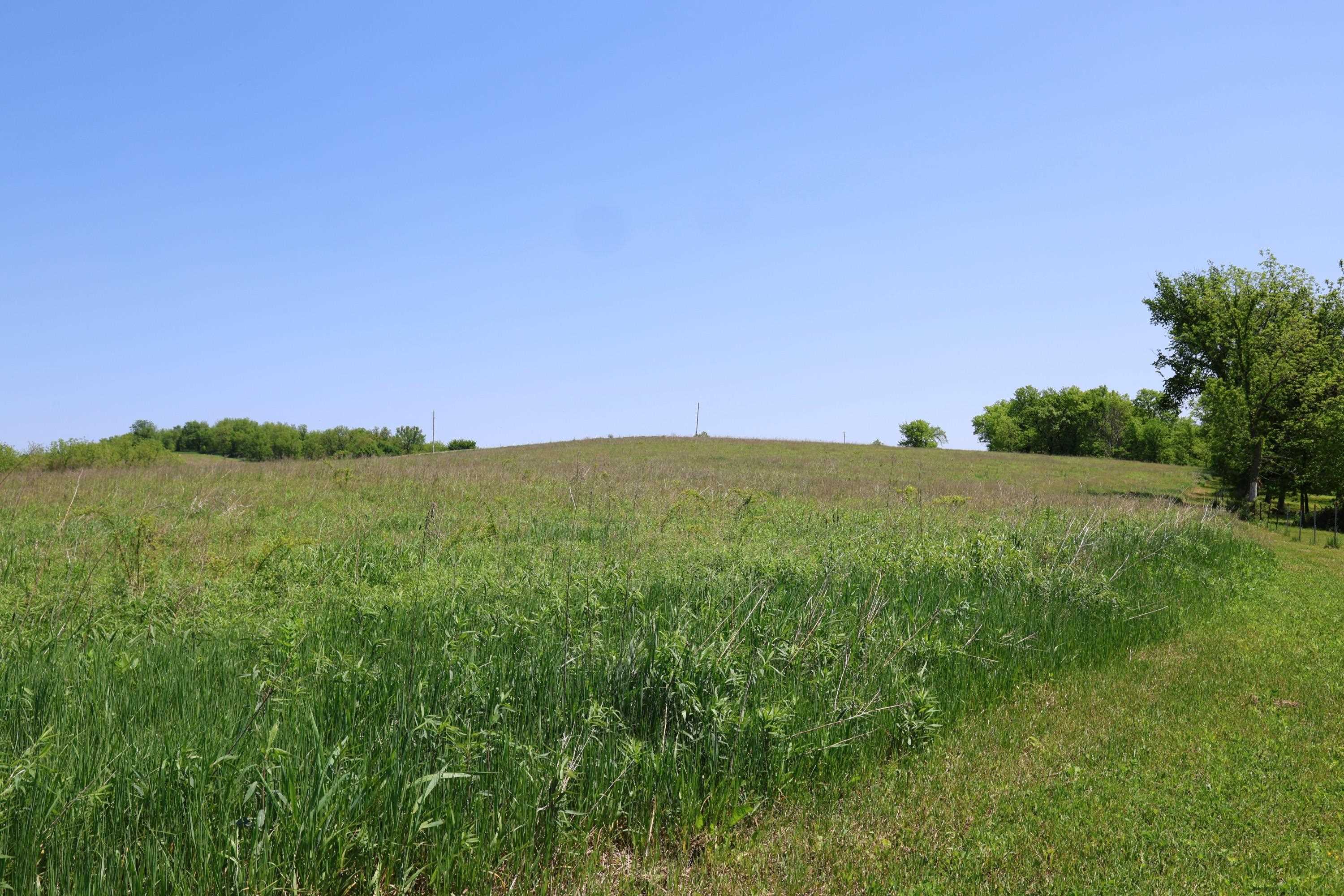 7469 Grant River Road Cassville, WI 53806 - Photo 53 of 62