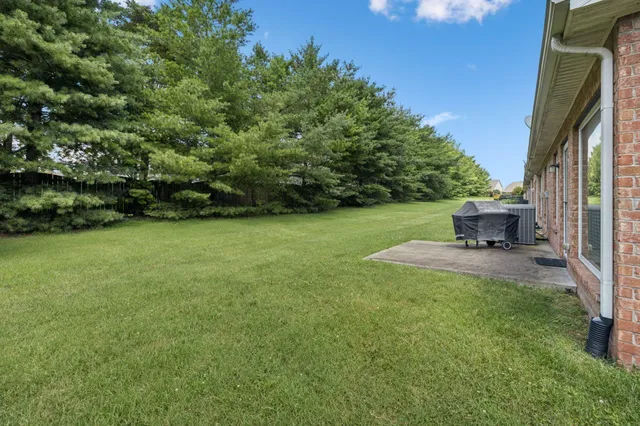 a view of a garden with chair and grass