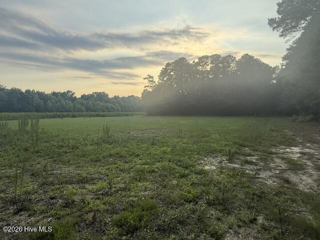1005 Regal Road Goldsboro, NC 27534 - Photo 4 of 5