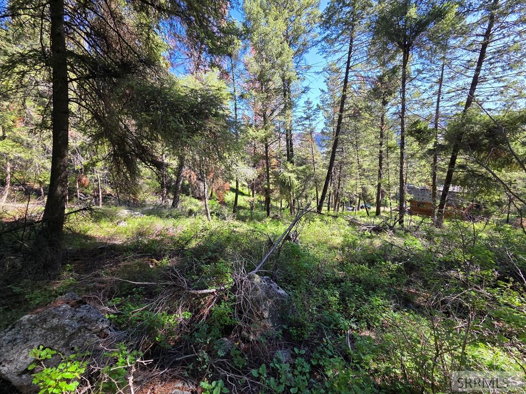 21 Pinetree Drive Salmon, ID 83467 - Photo 22 of 71