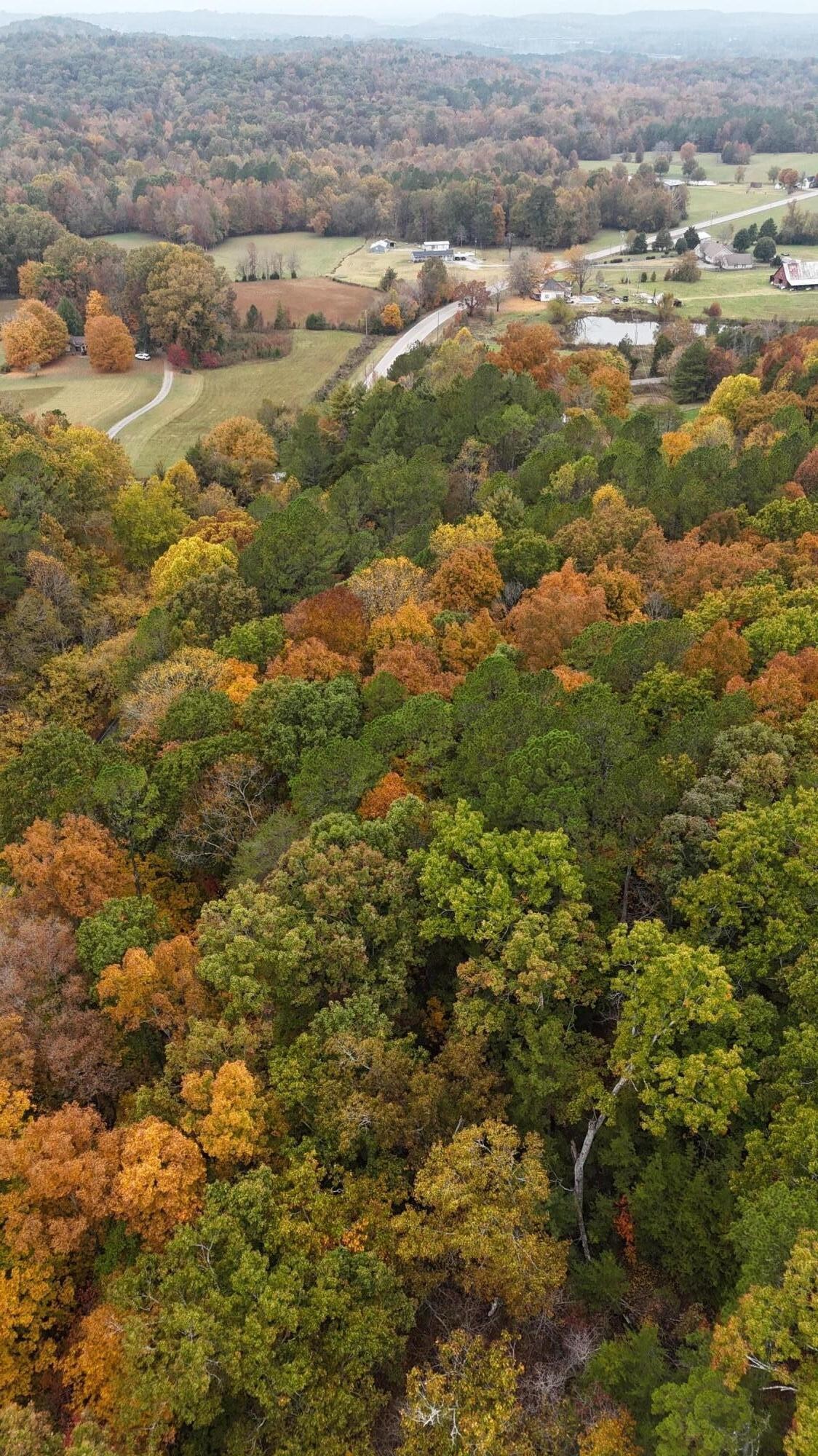 0 Lower River Road Northwest Georgetown, TN 37336 - Photo 11 of 13 Gallery Image 11