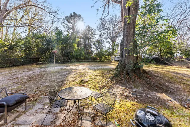 a view of a backyard with plants and trees