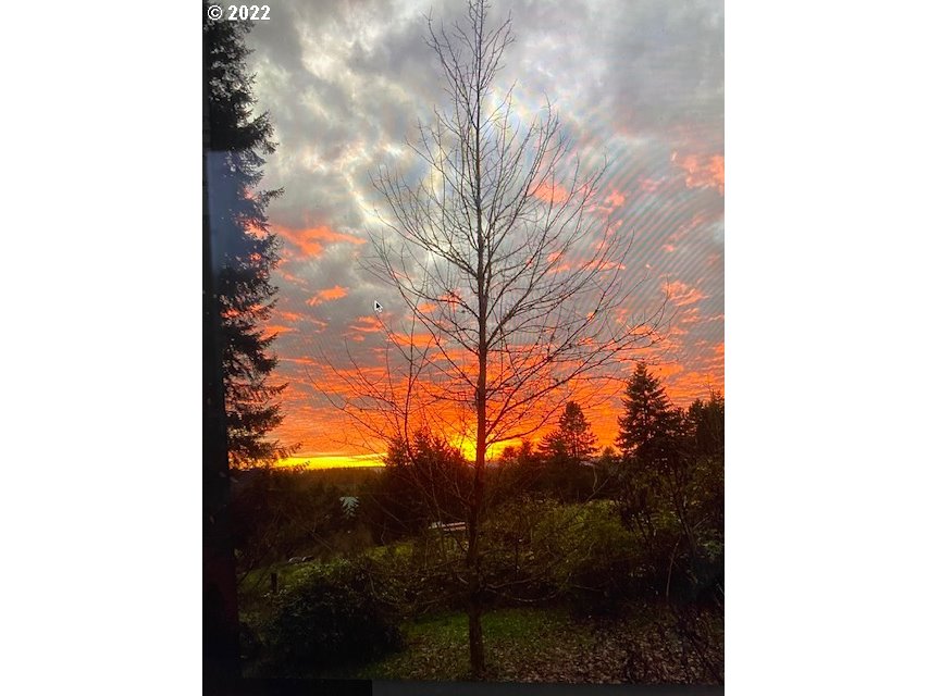 7705 Northeast Quarry Road La Center, WA 98629 - Photo 2 of 27 a view of a yard with a tree