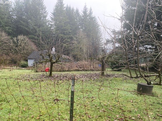 7705 Northeast Quarry Road La Center, WA 98629 - Photo 26 of 27 a view of a yard with yellow trees