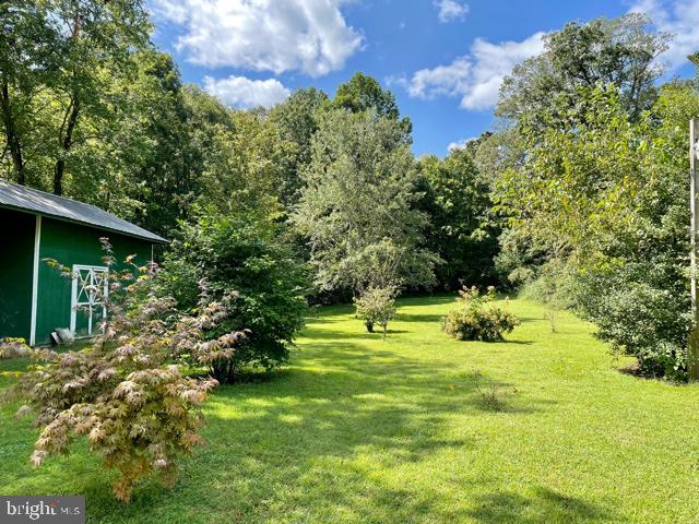 196 Tonys Road Elkton, MD 21921 - Photo 25 of 34 Plenty of Room for Children & Pets to Run and Play