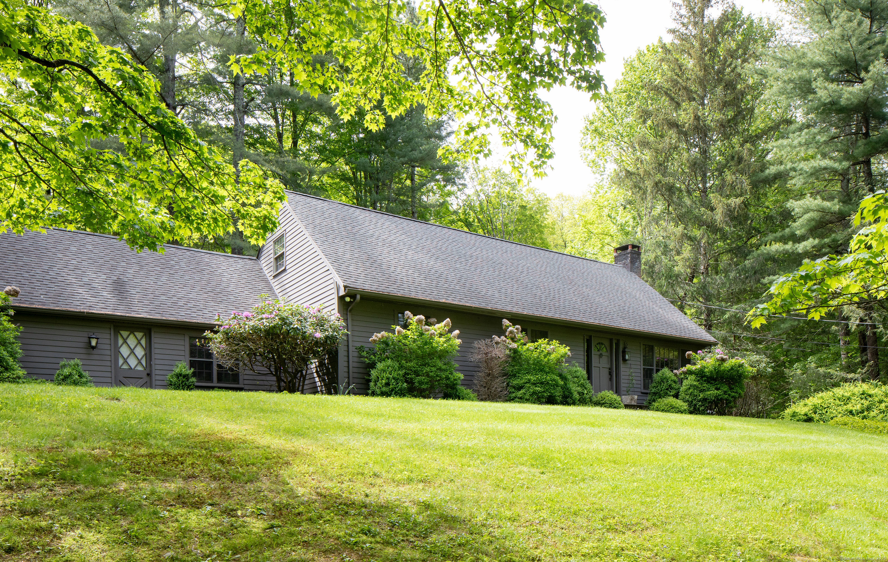 a backyard of a house with large trees and plants