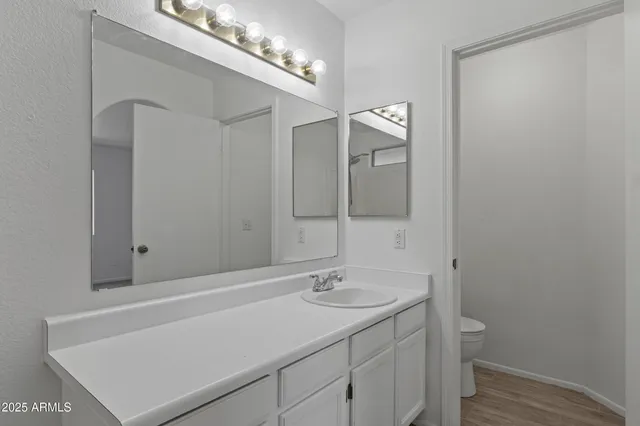 a bathroom with a sink a toilet and a mirror