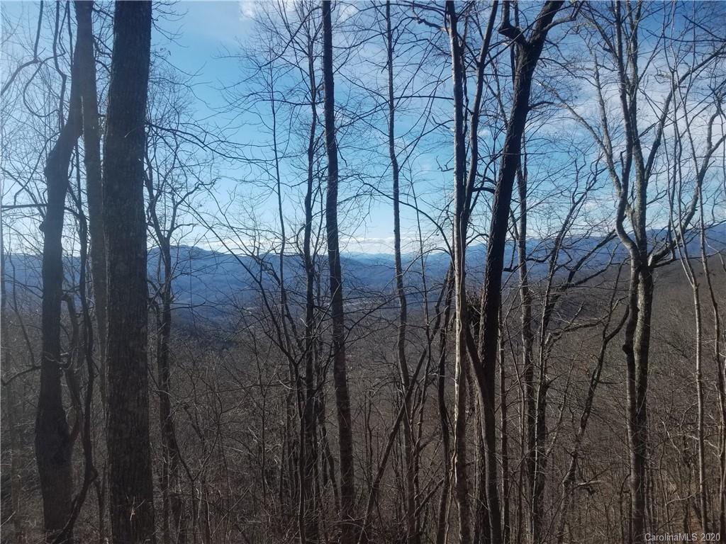 1 Firefly Road Whittier, NC 28789 - Photo 2 of 6 Gallery Image 2