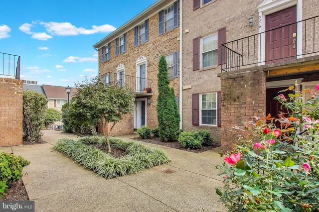 $3,100 | 931 South Rolfe Street, Unit 1, Arlington, VA 22204