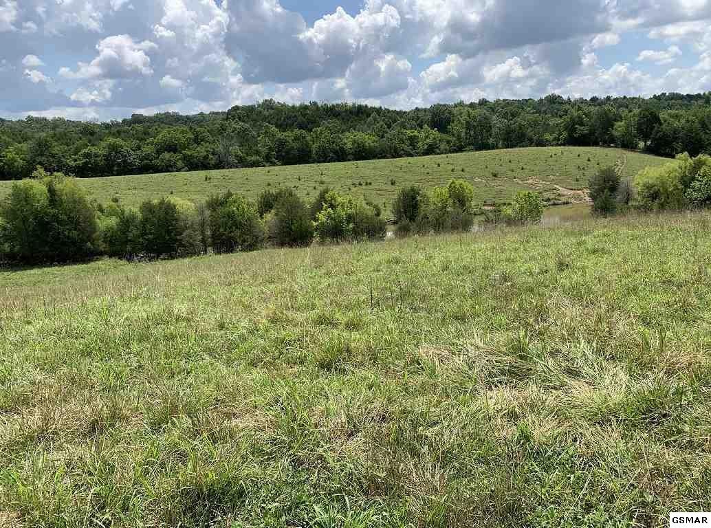 14 Herb Lane Newport, TN 37821 - Photo 4 of 7