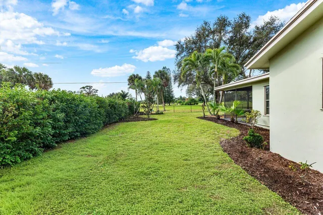 a view of a backyard with plants and a garden